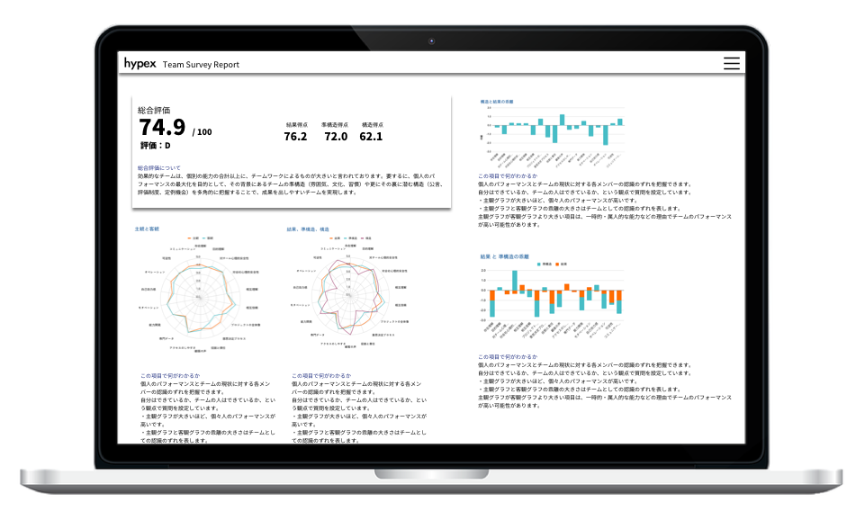 hypex team survey report