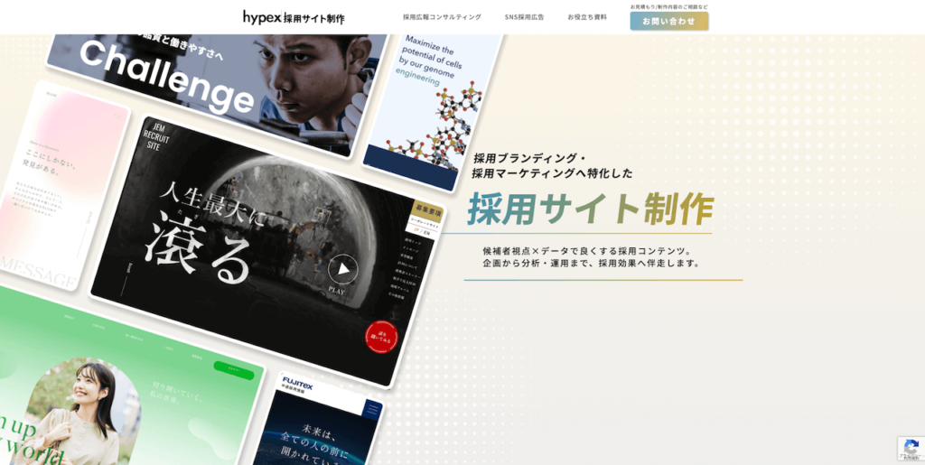 株式会社hypex 採用サイト制作