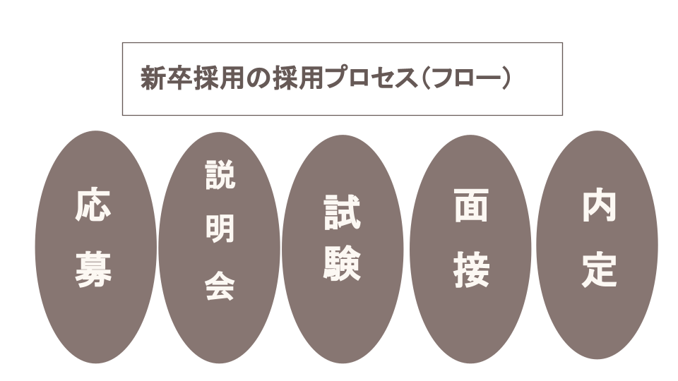 新卒採用の採用プロセス（フロー）
