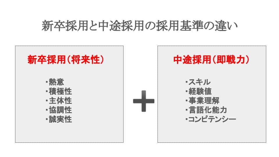 新卒採用と中途採用の採用基準の違い