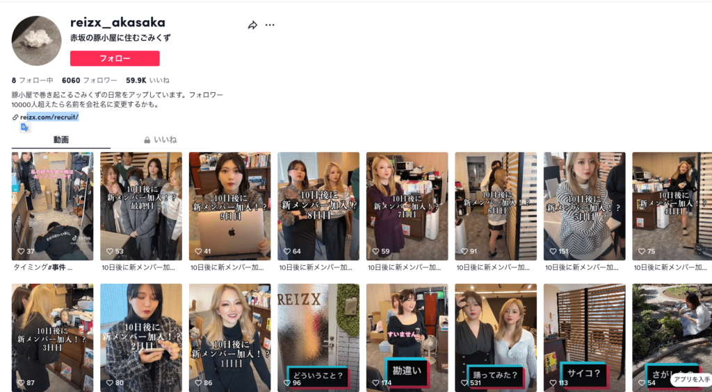 株式会社レイゼクスのTikTok採用アカウントの事例