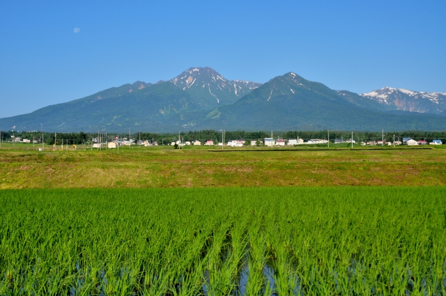 新潟県でおすすめのホームページ制作会社10選！